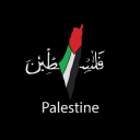 Palestine Discord Server Logo