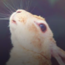 Realsammy Discord Server Logo
