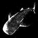TheOneOfServers Discord Server Logo