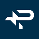 Pulse Support Discord Server Logo