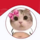 nxh✨ Discord Server Logo