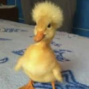 Duck Dynasty S2 Discord Server Logo