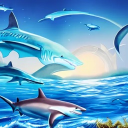 Sunrise Shark Discord Server Logo