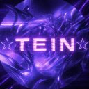 ☆TEIN☆┇Trading Hub Discord Server Logo