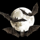 🦇︲yovng Discord Server Logo