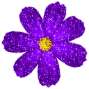 ❀ 𝒯𝒽𝑒 𝐹𝓁𝑜𝓌𝑒𝓇 𝒱𝑒𝓇𝒶𝓃𝒹𝒶 ❀ Discord Server Logo