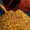 Gold Rush Discord Server Logo