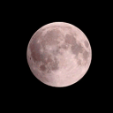 Moon’s  Chatterbox Discord Server Logo
