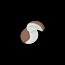 COCO CLUB🌴🥥 Discord Server Logo