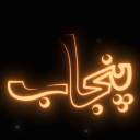 Desi Punjab (Pakistani Discord Server Logo