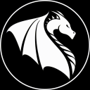 Dragontwin Discord Server Logo