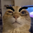 Scary Baboon [Emojis] Discord Server Logo