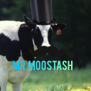 Thanks everyone Discord Server Logo