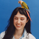 Clairo Cord Discord Server Logo
