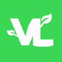 VadimLeaf Studios Discord Server Logo