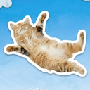Sky Community Discord Server Logo
