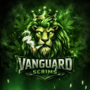 VANGUARD SCRIMS Discord Server Logo