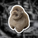 ✧₊⁺ ./nexus-development/ ⁺₊✧ Discord Server Logo