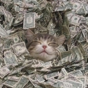 Catizon Discord Server Logo