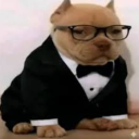 Team perritos dalmatas Discord Server Logo