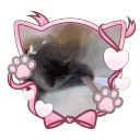 ᡣ𐭩ྀིྀ  ℳeowie ⑅ 𝒮ocial ⑅ 𝒢iveaway's ⑅ 𝒟ecor Discord Server Logo