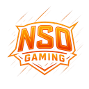 NSO GAMING/WARRIORS Discord Server Logo