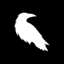 Raven Technologies Group Discord Server Logo
