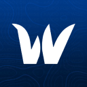 🌊 Wise Discord Server Logo