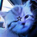 .¶> Discord Server Logo