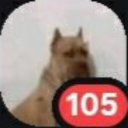 ⚽ 𝐅𝐚𝐧𝐬𝐨𝐬𝐤𝐢𝐬 Discord Server Logo