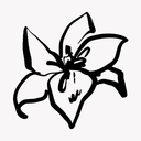 Whimsical Studio - Roblox Studio #7K Discord Server Logo