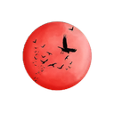 NIGHT OWLS Discord Server Logo