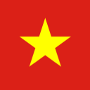 Vietnam 🇻🇳 Discord Server Logo