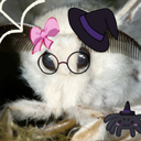 MOTH HEAVEN Discord Server Logo