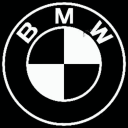 Bmw 𝙂𝙪𝙞𝙡𝙙 🎃 .gg/bmwguild Discord Server Logo