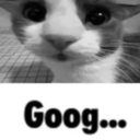 Goog Central Discord Server Logo
