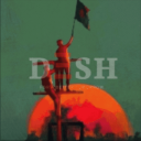 DΞSHCORD Discord Server Logo