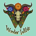 Wonder Wild Discord Server Logo