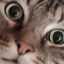 Ryvynx's Community Server Discord Server Logo