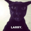 that server where we might occasionally talk about cats Discord Server Logo