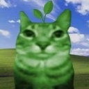 plant's stuff Discord Server Logo
