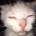 Don't Copy Me Brah! Discord Server Logo