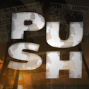 🪵Push RP🪵 14 СЕЗОН Discord Server Logo