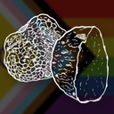 Truffled Discord Server Logo