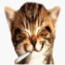 Undercover Online Discord Server Logo