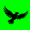 BIRDS OF WAR Discord Server Logo