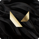 VALORANT Romania Discord Server Logo