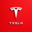 TESLA X  MODEL 🚀🌍 Discord Server Logo