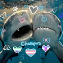 trans chompers Discord Server Logo