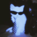 Moon's madnesses Discord Server Logo